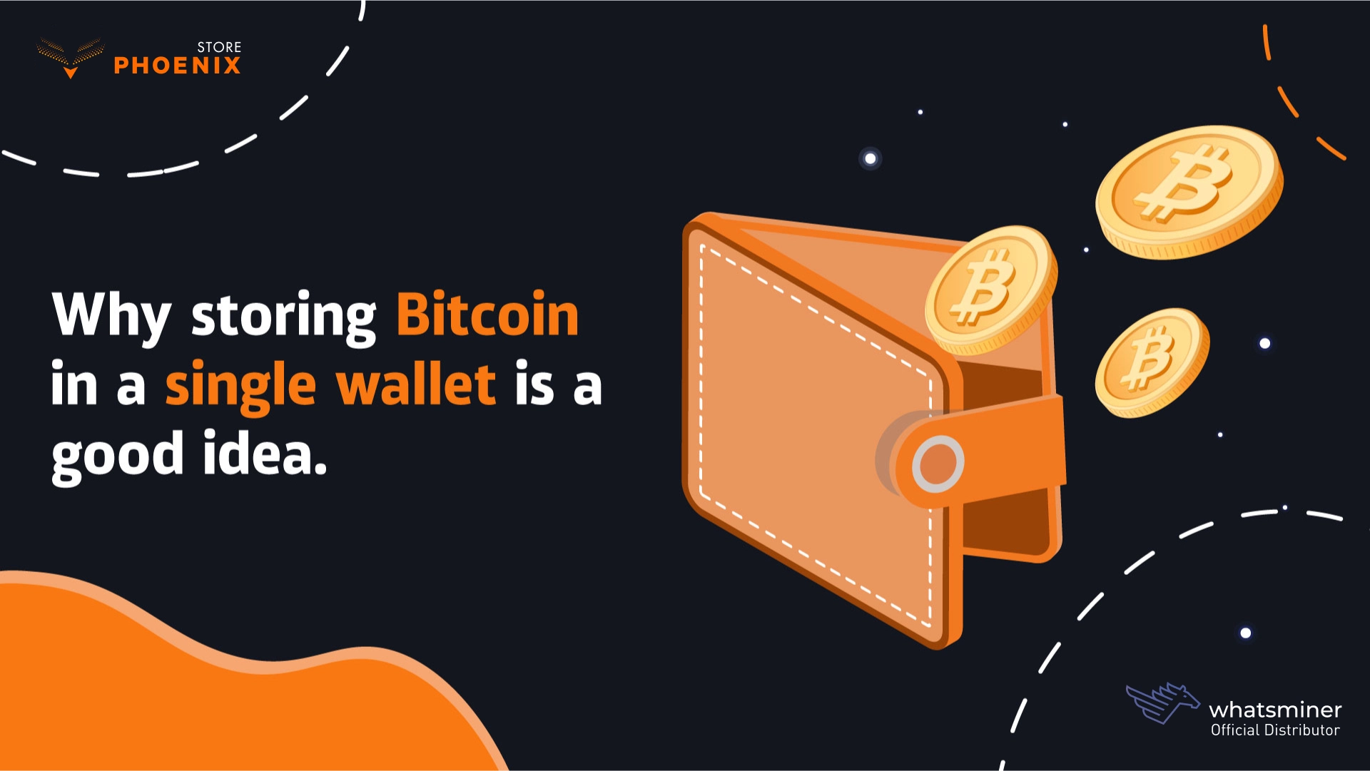 Why storing Bitcoin in a single wallet is a good idea?