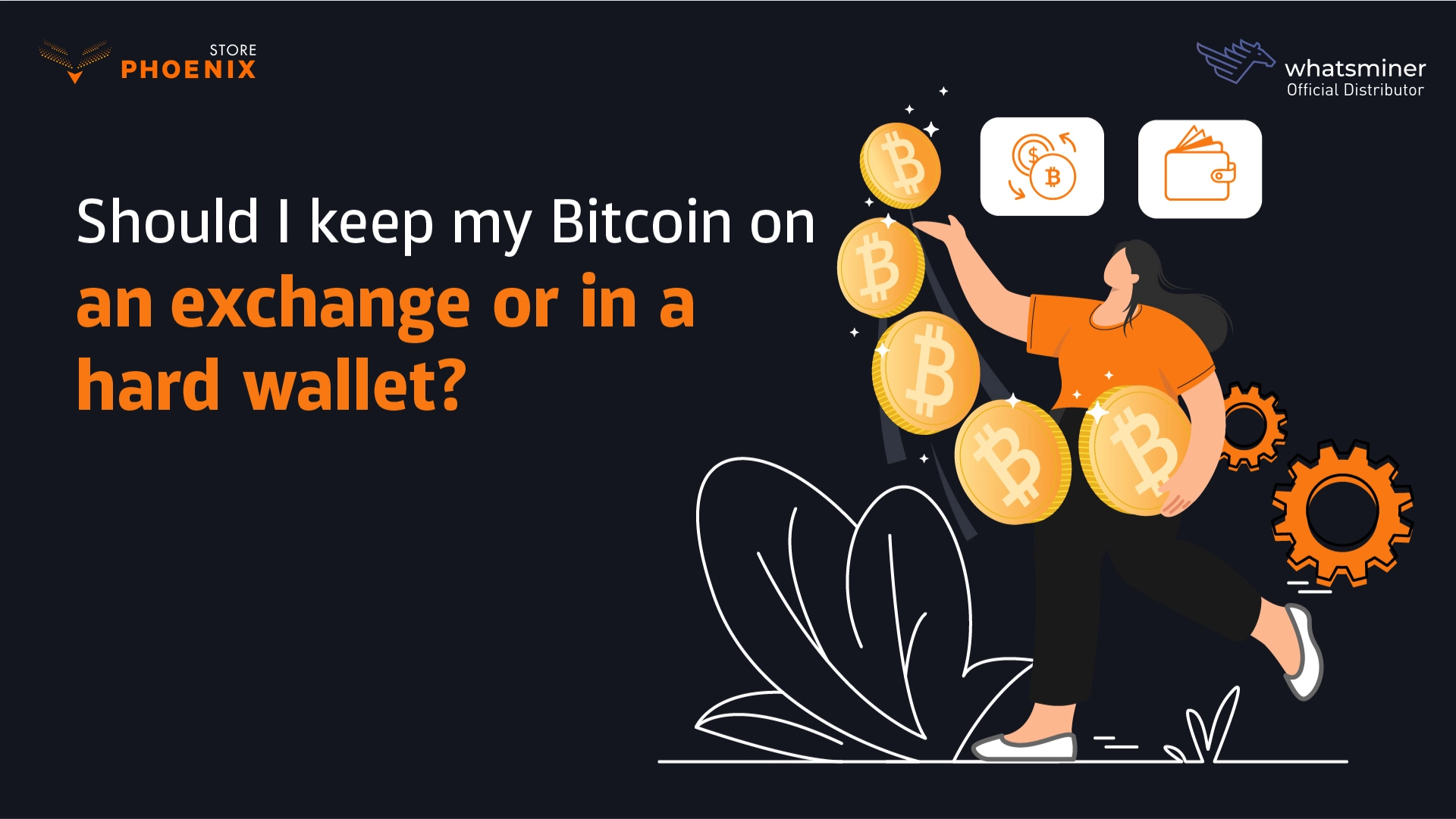 Should I keep my Bitcoin on an exchange or in a hard wallet?